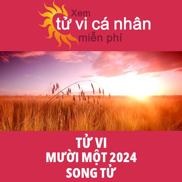 Tử vi Song Tử Mười Một 2024