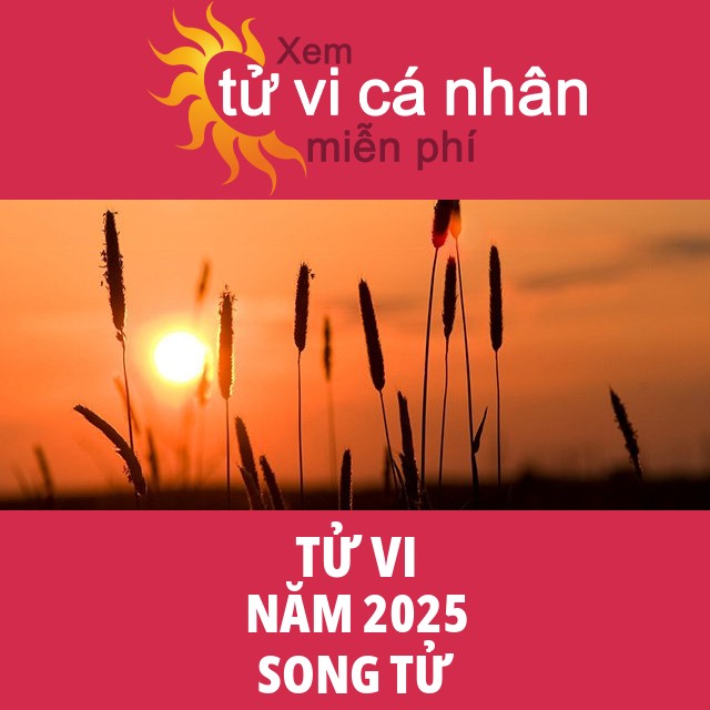Tử vi Song Tử Năm 2025