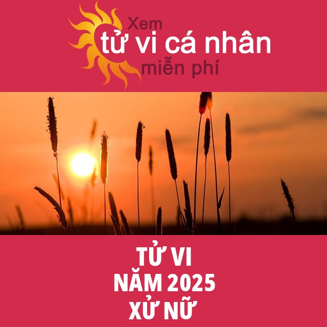 Tử vi Xử Nữ Năm 2025