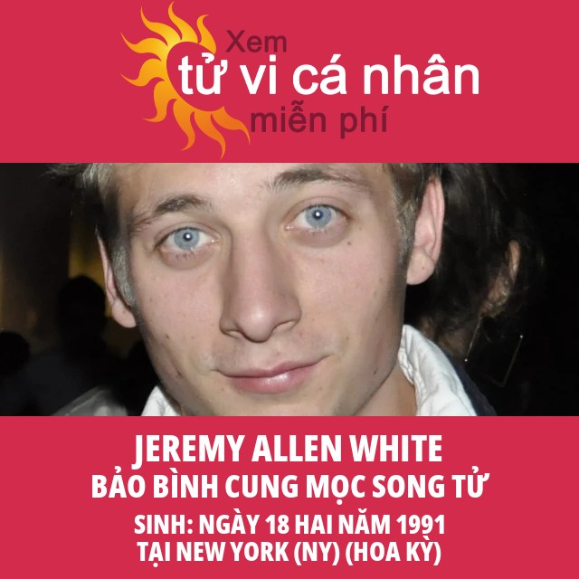 Chân dung chiêm tinh Jeremy Allen White: Góc nhìn về Bảo Bình