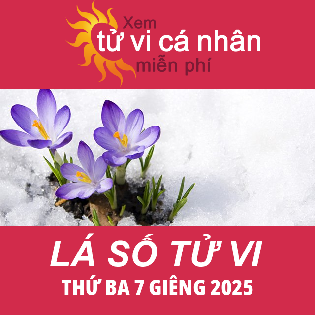 Lá số tử vi 2025