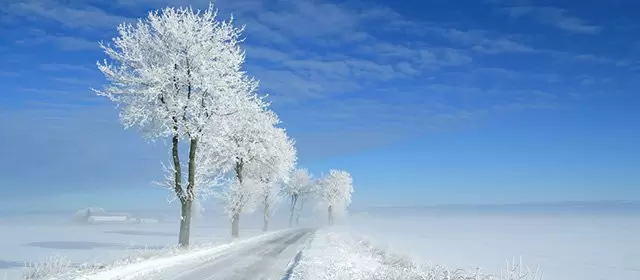 Tử vi ngày Thứ Bảy 3 1 2026