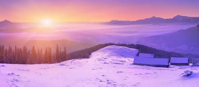 Tử vi ngày Thứ Ba 6 1 2026