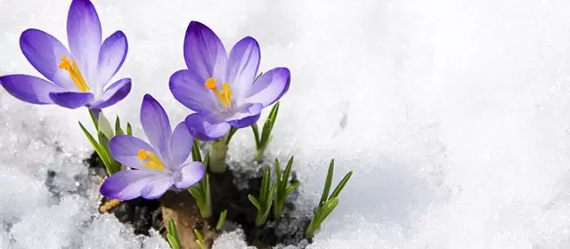 Tử vi ngày Thứ Tư 7 1 2026