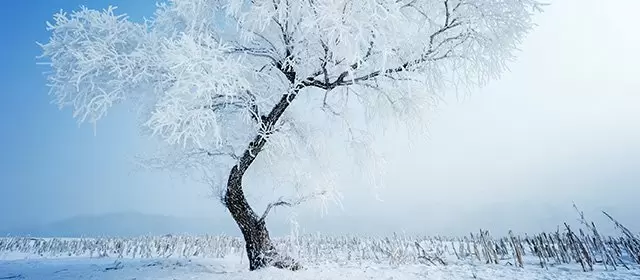 Tử vi ngày Thứ Sáu 9 1 2026