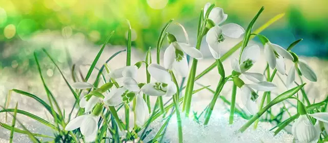 Tử vi ngày Thứ Hai 12 1 2026