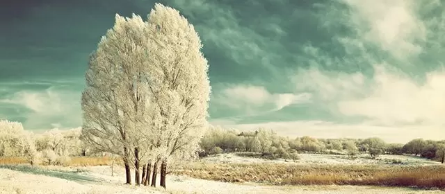 Tử vi ngày Thứ Tư 14 1 2026