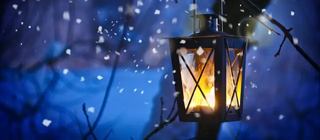 Tử vi ngày Thứ Năm 29 1 2026