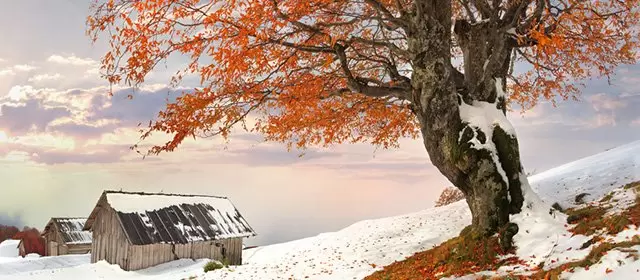 Tử vi ngày Thứ Bảy 31 1 2026