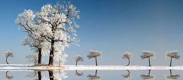 Tử vi tháng 2 2026 của Sư Tử