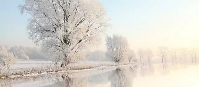 Tử vi ngày Thứ Tư 4 2 2026