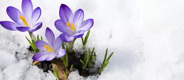 Tử vi ngày Thứ Năm 5 2 2026