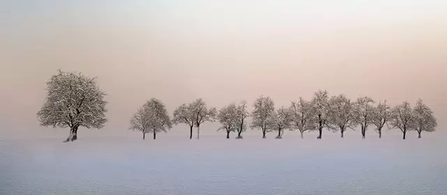 Tử vi ngày  Thứ Hai 16 2 2026