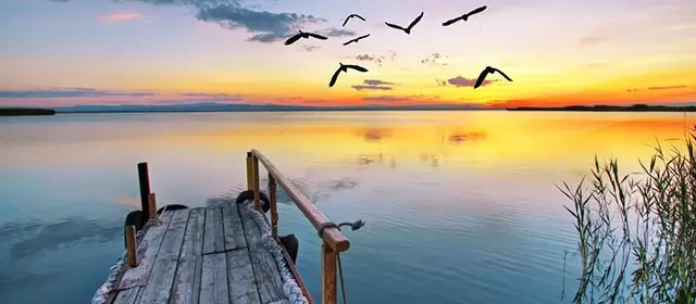 Tử vi tháng 3 2026 của Sư Tử