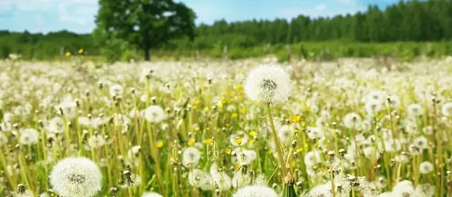 Tử vi ngày  Thứ Ba 3 3 2026