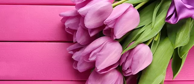 Tử vi ngày  Chủ Nhật 8 3 2026