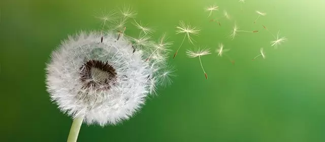 Tử vi ngày  Thứ Tư 11 3 2026