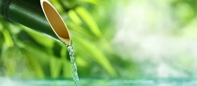 Tử vi ngày  Thứ Bảy 14 3 2026