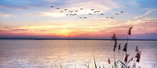 Tử vi ngày  Thứ Hai 16 3 2026