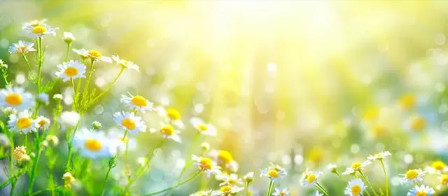 Tử vi ngày  Thứ Năm 19 3 2026