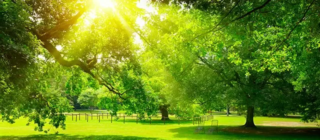 Tử vi ngày  Chủ Nhật 22 3 2026