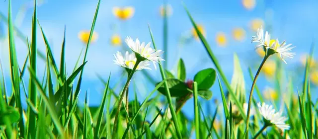 Tử vi ngày  Thứ Sáu 3 4 2026