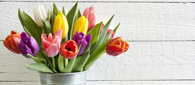 Tử vi ngày  Thứ Ba 14 4 2026