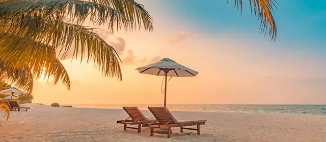 Tử vi ngày  Thứ Sáu 31 7 2026
