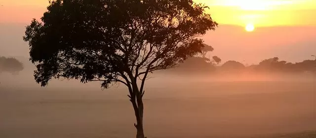 Tử vi ngày  Thứ Tư 2 9 2026