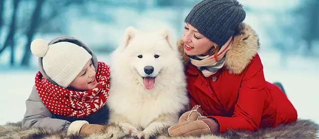 Tử vi ngày Chủ Nhật 14 12 2025