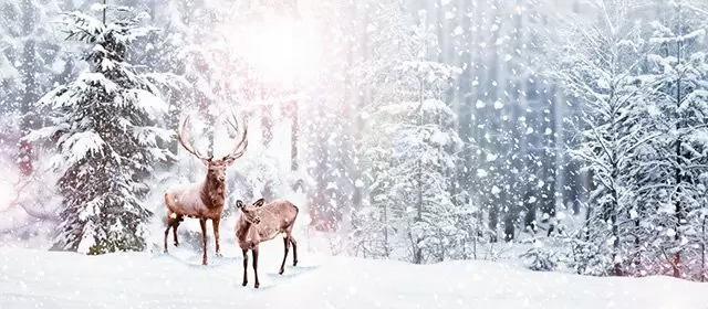 Tử vi ngày Thứ Tư 17 12 2025