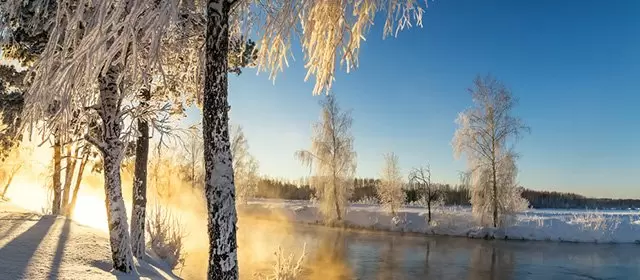 Tử vi ngày Thứ Bảy 20 12 2025