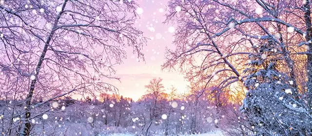 Tử vi ngày Thứ Hai 22 12 2025