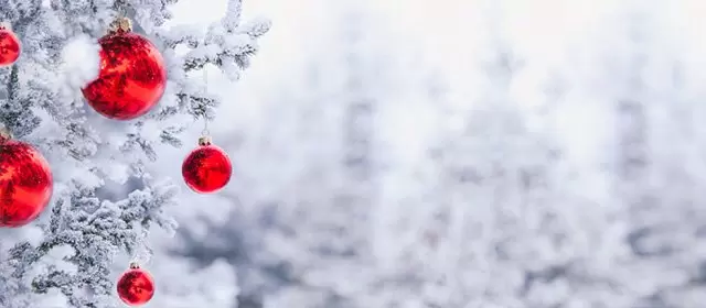 Tử vi ngày  Thứ Ba 23 12 2025