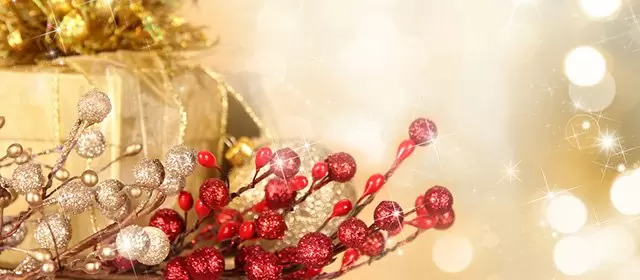 Tử vi ngày Thứ Tư 24 12 2025