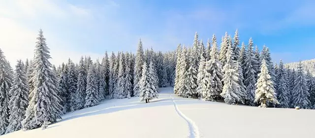 Tử vi ngày Thứ Ba 30 12 2025